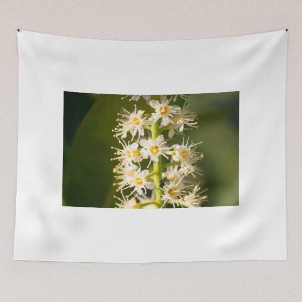 Item preview, slb a bundle designed and sold by pcfyi.