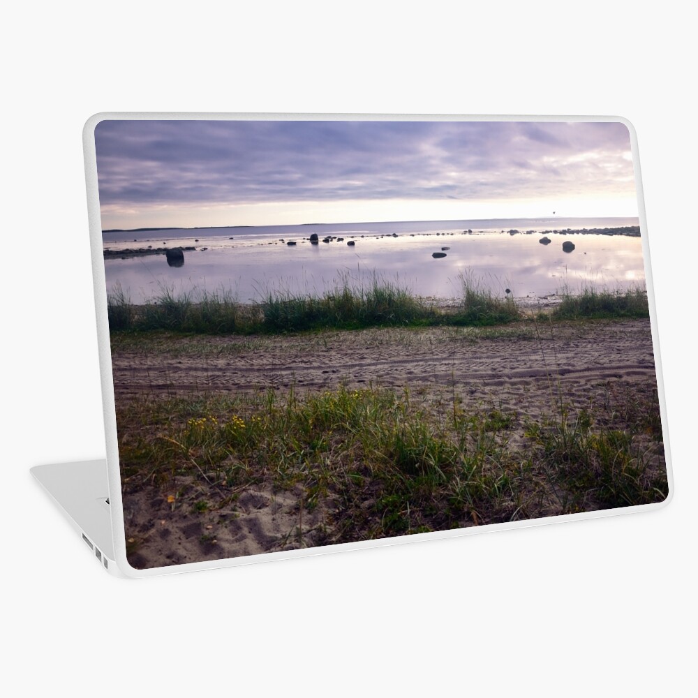 Item preview, Laptop Skin designed and sold by Mallorn.