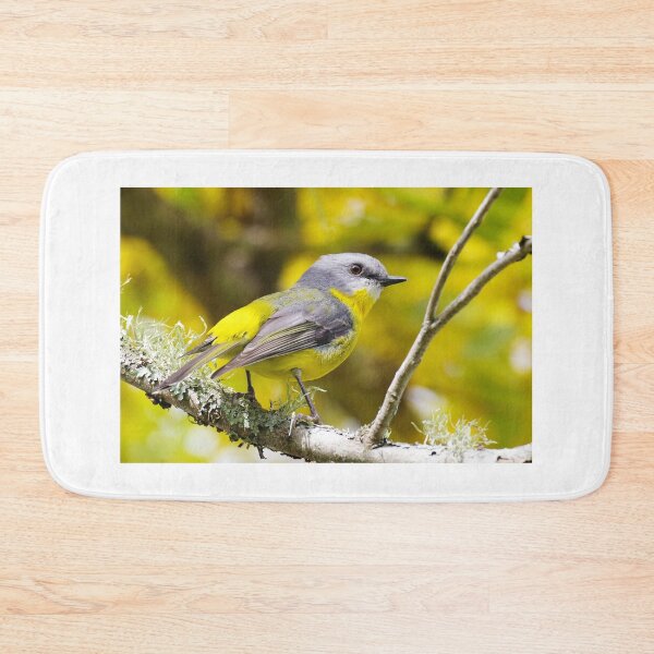 Item preview, Australian Eastern Yellow Robin ( Eopsaltria australis ) designed and sold by Lyle McNamara.