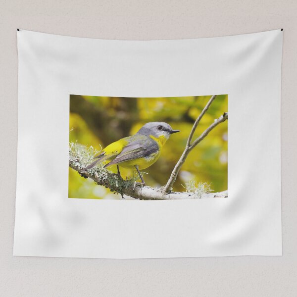 Item preview, Australian Eastern Yellow Robin ( Eopsaltria australis ) designed and sold by Lyle McNamara.