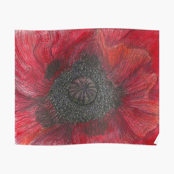 Heart of the Poppy illustration, ink and watercolor Poster