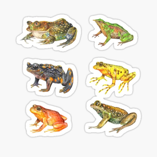 Item preview, Amphibians of Chile designed and sold by SandraHaro.