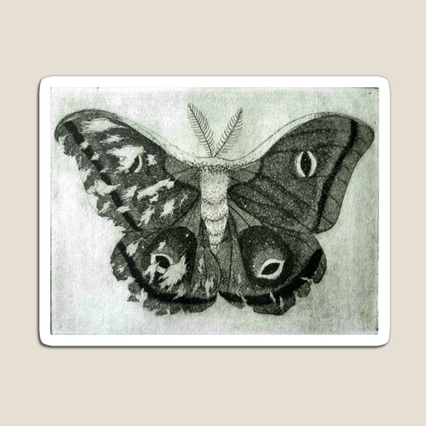 Item preview, Polyphemus designed and sold by talia-jenae.