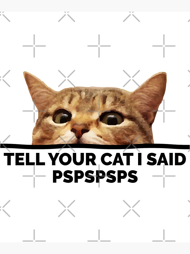 Pspspsps Funny Cat Meme - Cat Memes - Pin