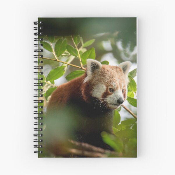 Item preview, the little red panda designed and sold by JoeEJackson.