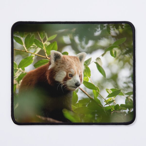 Item preview, the little red panda designed and sold by JoeEJackson.