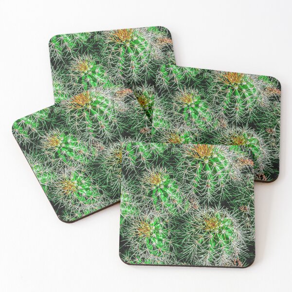 Item preview, Baby Barrel Cacti designed and sold by William E Lopez.
