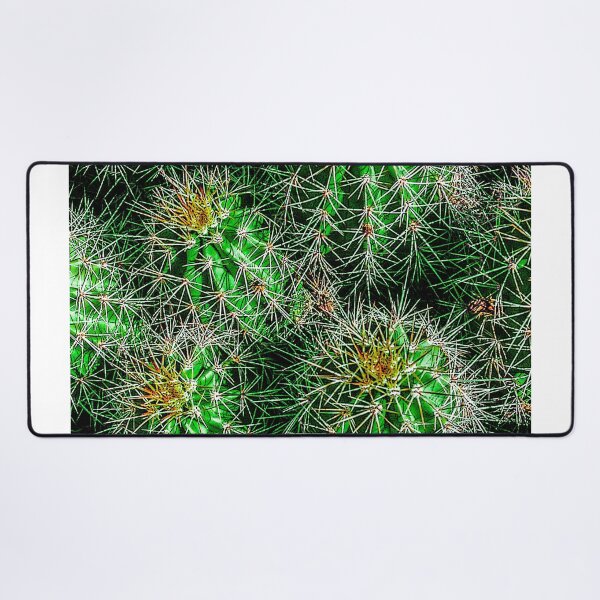 Item preview, Baby Barrel Cacti designed and sold by William E Lopez.