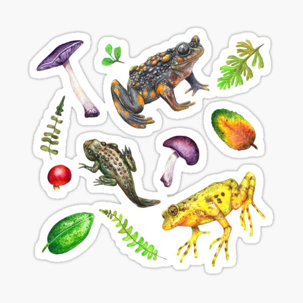 Item preview, Amphibians of Chile designed and sold by SandraHaro.
