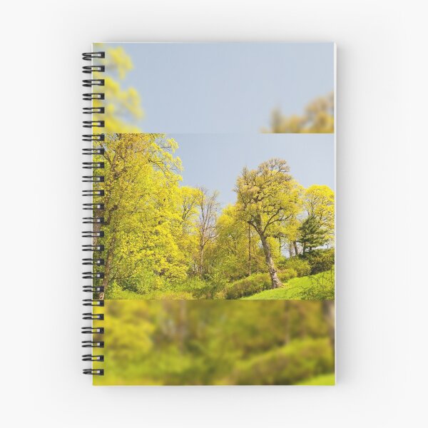 Item preview, Green spring trees in park view designed and sold by Arletta Cwalina.