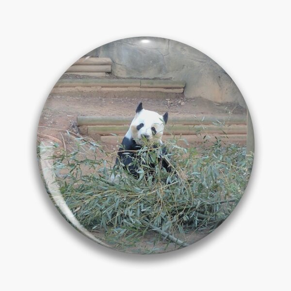 Item preview, panda  designed and sold by Shaylee2222.