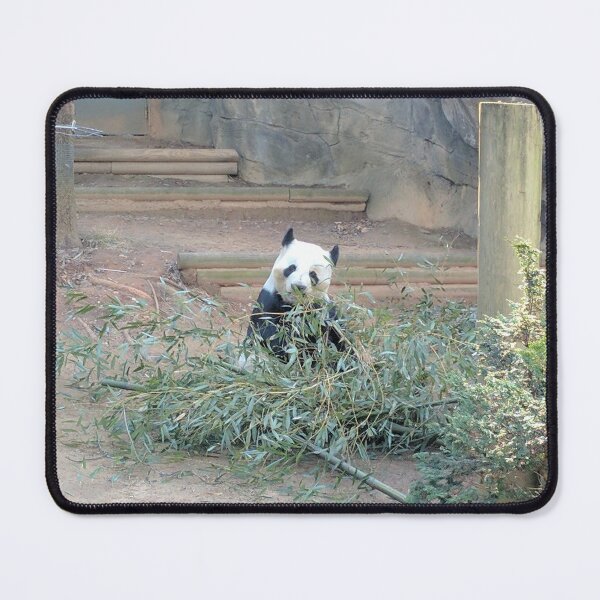 Item preview, panda designed and sold by Shaylee2222.
