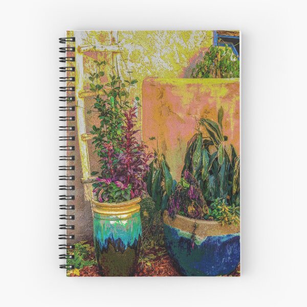 Item preview, Plants and Flower Pots in Old Mesilla, New Mexico designed and sold by William E Lopez.