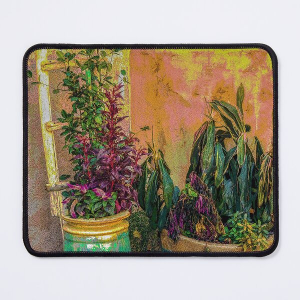 Item preview, Plants and Flower Pots in Old Mesilla, New Mexico designed and sold by William E Lopez.