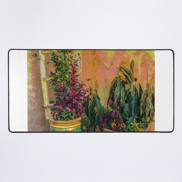 Item preview, Plants and Flower Pots in Old Mesilla, New Mexico designed and sold by William E Lopez.
