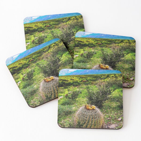 Item preview, Barrel Cactus Along the Organ Mountains designed and sold by William E Lopez.