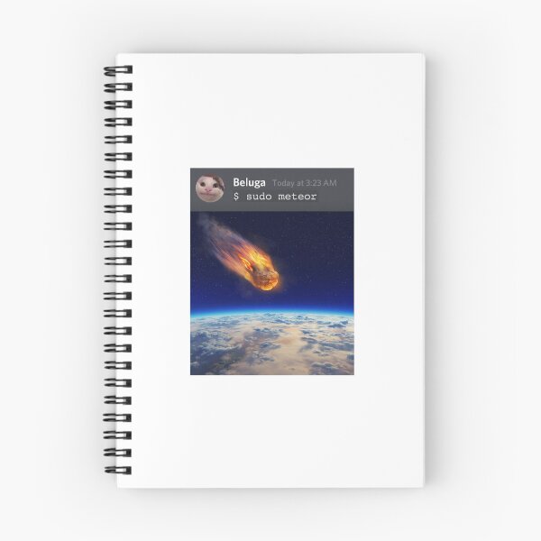 Item preview, Beluga's Hacking Skills- $ sudo meteor designed and sold by Shop4Gamers.