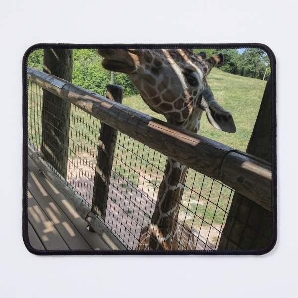 Item preview, zoo designed and sold by Shaylee2222.