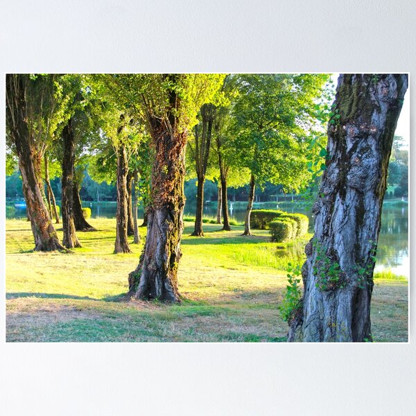 Item preview, Contrasted Nature - Royan, France. designed and sold by Tiffany Lenoir.