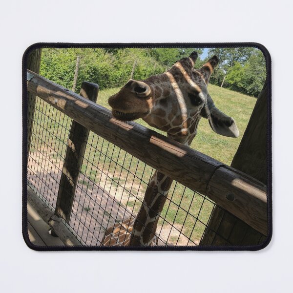Item preview, zoo designed and sold by Shaylee2222.