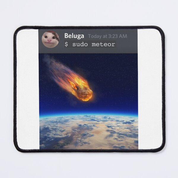 Item preview, Beluga's Hacking Skills- $ sudo meteor designed and sold by Shop4Gamers.