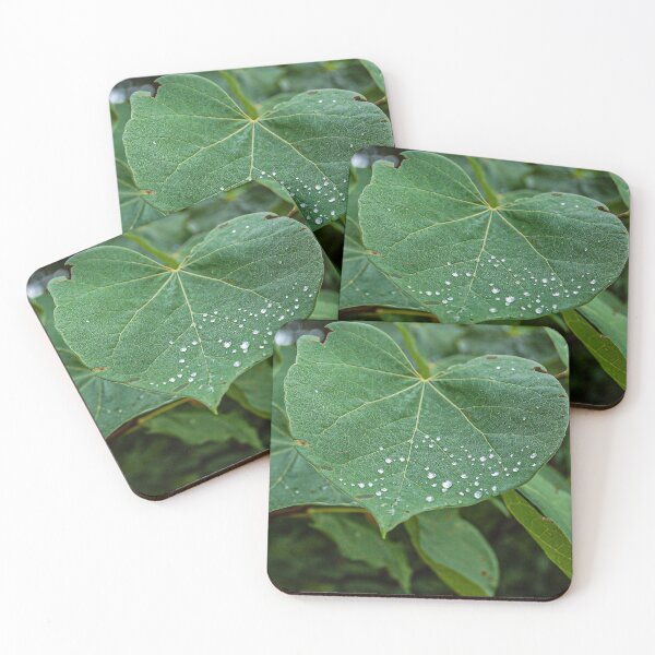 Item preview, Dew on a Leaf designed and sold by William E Lopez.