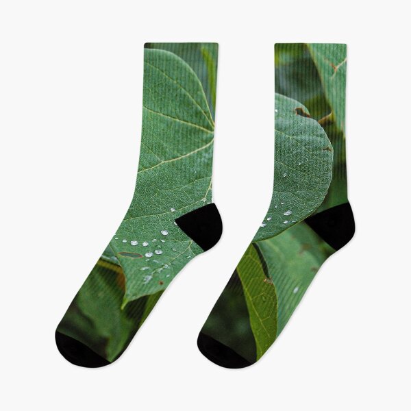 Item preview, Dew on a Leaf designed and sold by William E Lopez.