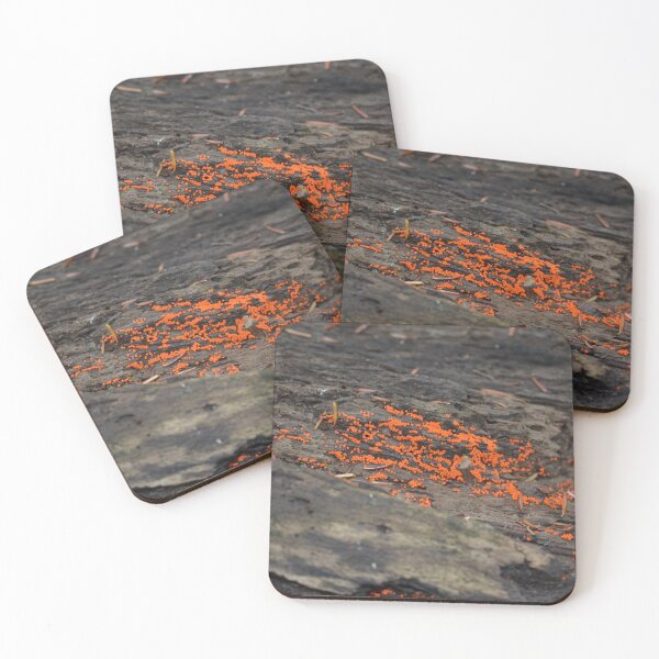 Item preview, A sprinkle of orange designed and sold by NorthernSnappy.