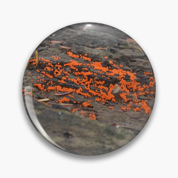 Item preview, A sprinkle of orange designed and sold by NorthernSnappy.