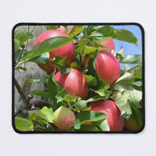 Item preview, A delicious trip to the apple orchard designed and sold by NorthernSnappy.