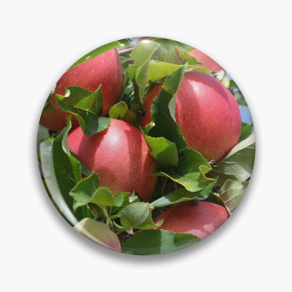 Item preview, A delicious trip to the apple orchard designed and sold by NorthernSnappy.