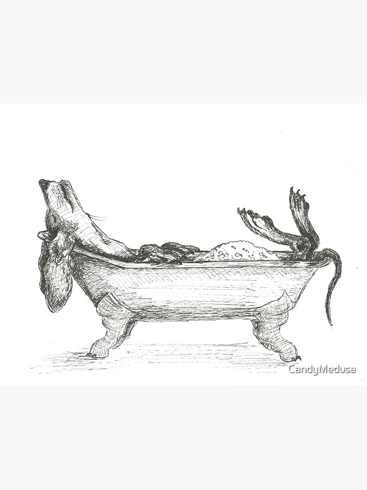 Thumbnail 3 of 3, Art Print, Dachshund in a bathtub illustration, pen and ink designed and sold by CandyMedusa.