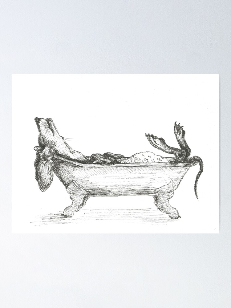 Thumbnail 1 of 3, Poster, Dachshund in a bathtub illustration, pen and ink designed and sold by CandyMedusa.
