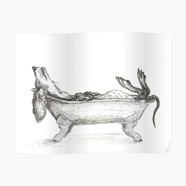 Dachshund in a bathtub illustration, pen and ink Poster