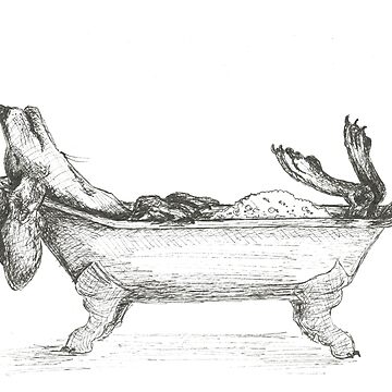 Artwork thumbnail, Dachshund in a bathtub illustration, pen and ink by CandyMedusa