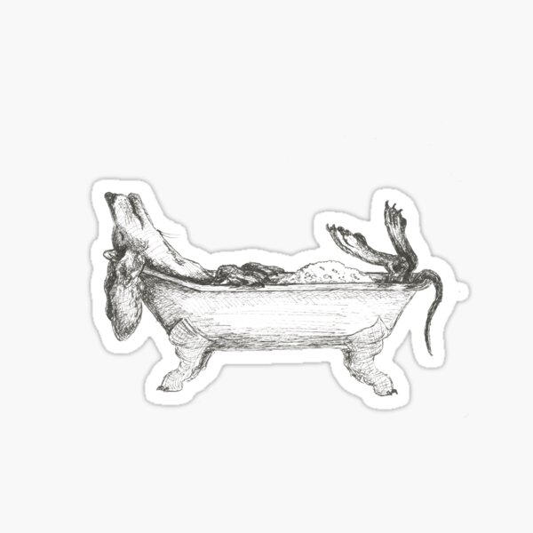 Dachshund in a bathtub illustration, pen and ink Sticker