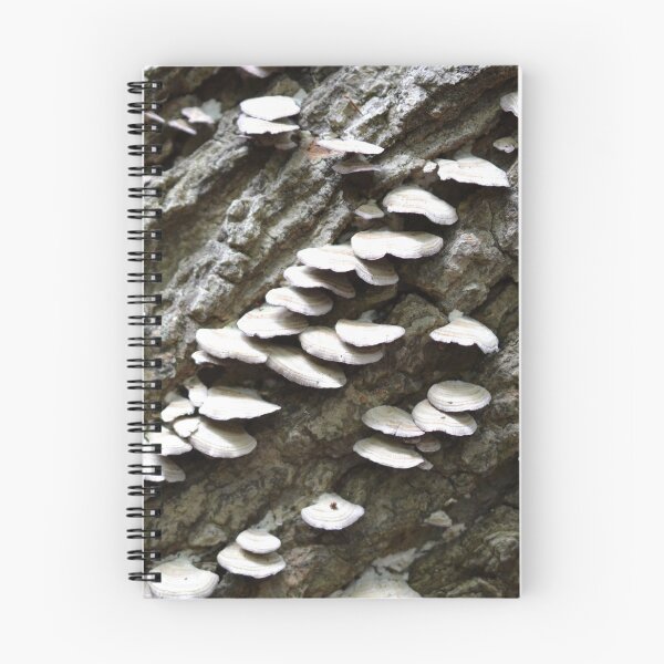 Item preview, Cascading mushrooms designed and sold by NorthernSnappy.