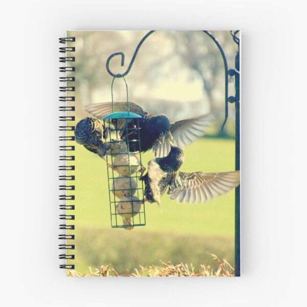 Item preview, A Starling Feeding its Young  designed and sold by William Lighterness.