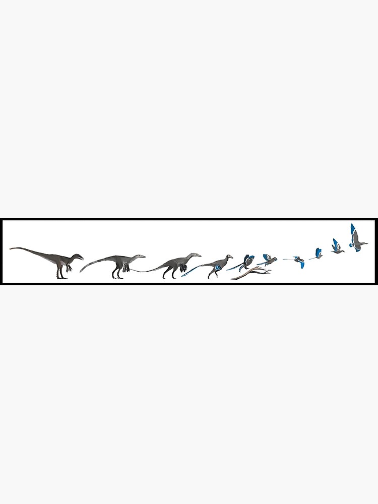 The Ascent of Bird by panaves