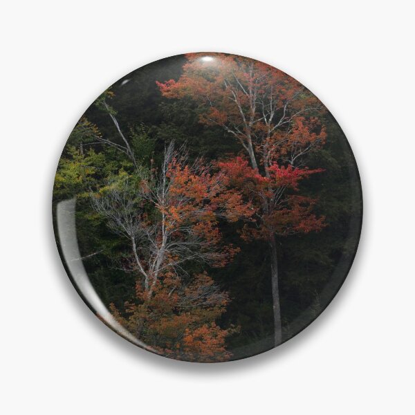 Item preview, Autumn Trees designed and sold by photodunnright.
