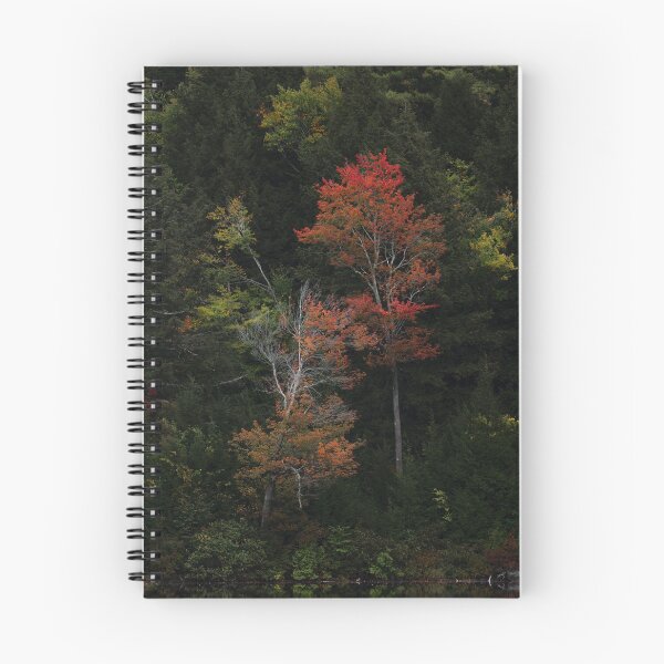 Item preview, Autumn Trees designed and sold by photodunnright.