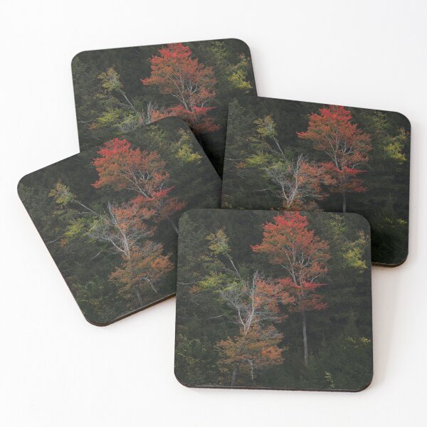 Item preview, Autumn Trees designed and sold by photodunnright.