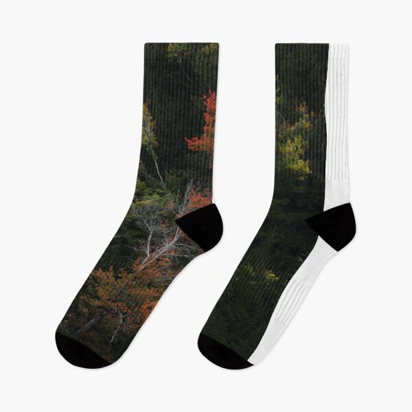 Item preview, Autumn Trees designed and sold by photodunnright.