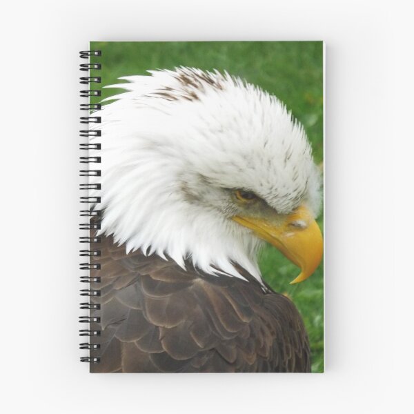 Item preview, The American Bald Eagle designed and sold by William Lighterness.