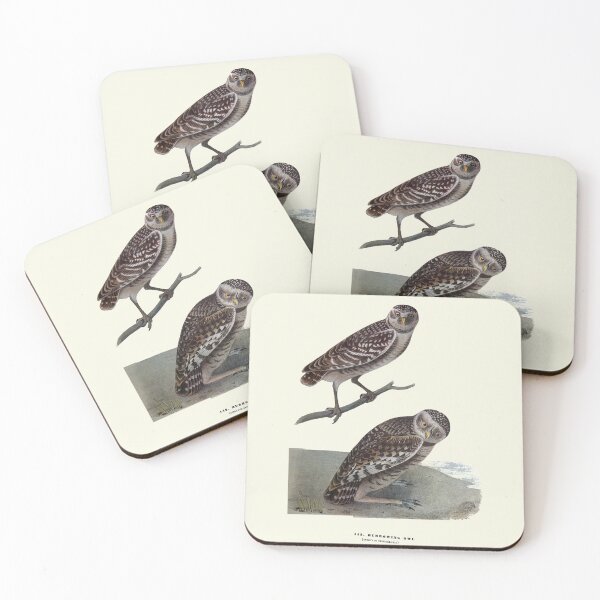 Item preview, Burrowing Owl - Audubon designed and sold by sanerevolution.