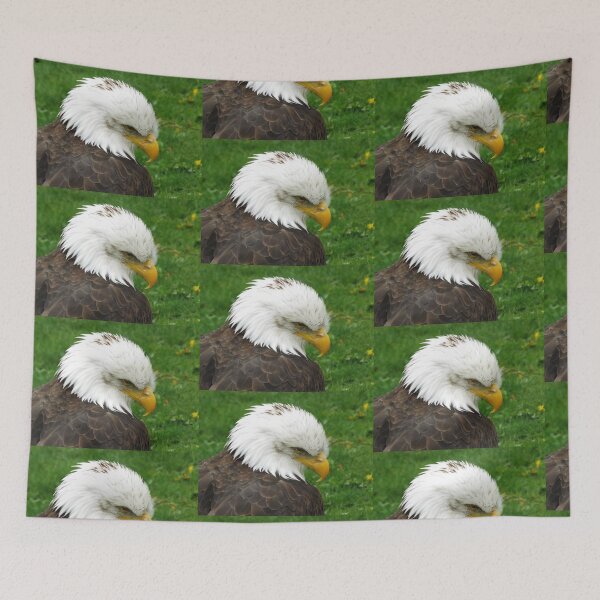 Item preview, The American Bald Eagle designed and sold by William Lighterness.