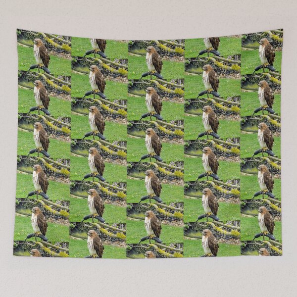 Item preview, Common Brown Buzzard designed and sold by William Lighterness.