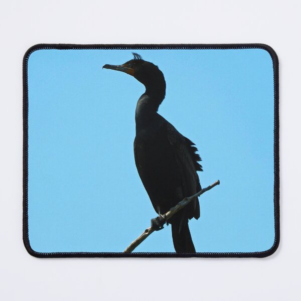 Item preview, Double-crested Cormorant designed and sold by BackyardBirder.