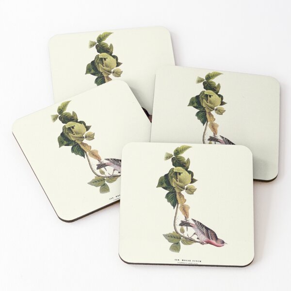 Item preview, House Finch - Audubon designed and sold by sanerevolution.