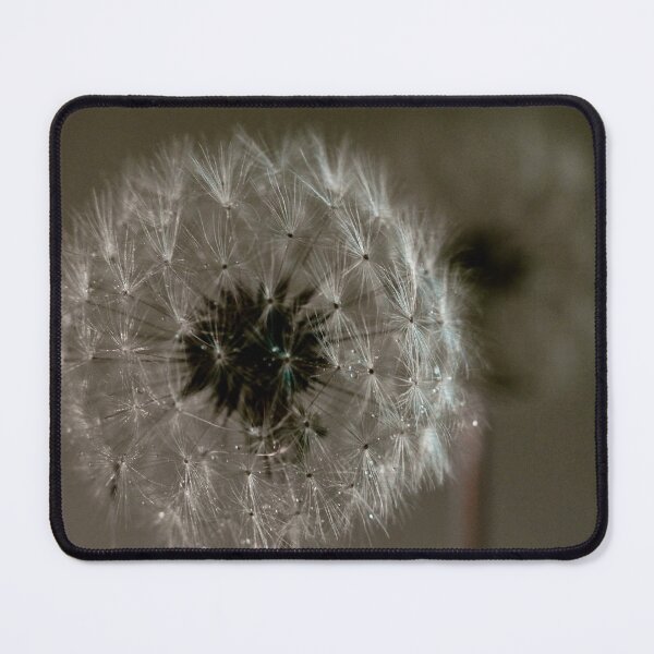 Item preview, Seed pod  designed and sold by garytresize.